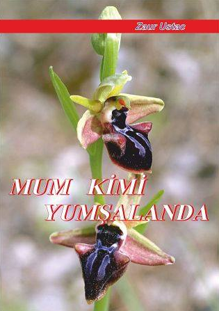 Mum kimi yumşalanda (...əsgər yaradıcılığı)